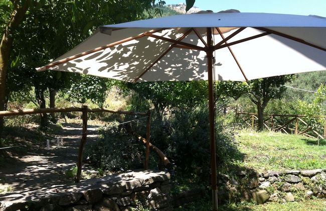 Gli Ulivi Agriturismo - Photo 65