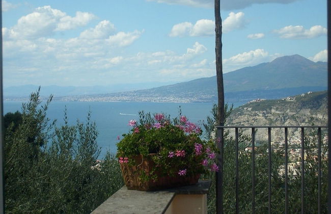 Gli Ulivi Agriturismo - Photo 53
