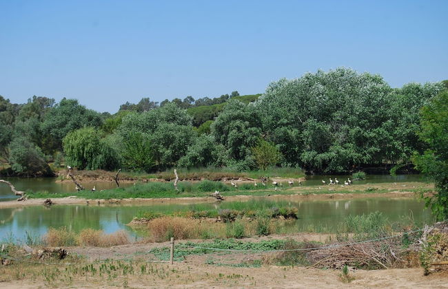 Vivienda Rural el Retorno - Foto 36