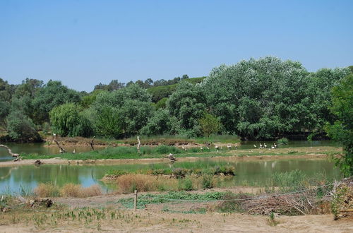 Photo 36 - Vivienda Rural el Retorno