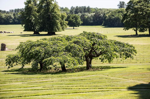 Foto 68 - Goldsborough Hall