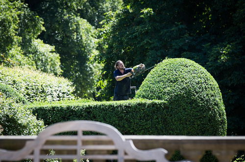 Photo 64 - Goldsborough Hall