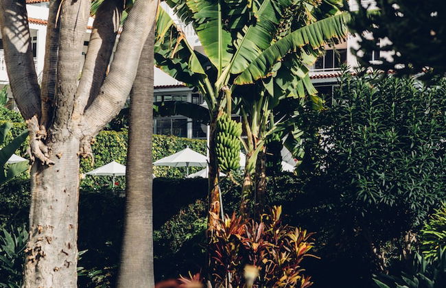 Route Active Hotel - Foto 47