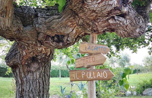 Agriturismo Grecinella - Foto 90