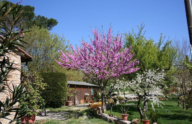 Agriturismo Grecinella - Foto 99