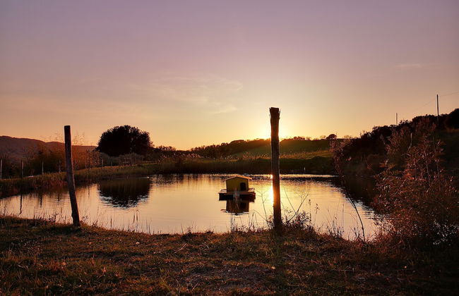 Agriturismo Grecinella - Foto 101