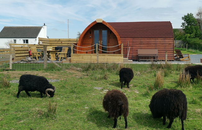 Cozy Cabin Retreat in Halkirk - Photo 1