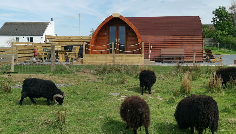 Photo 1 - Achmeney Glamping Pod Larger Than Average Pod