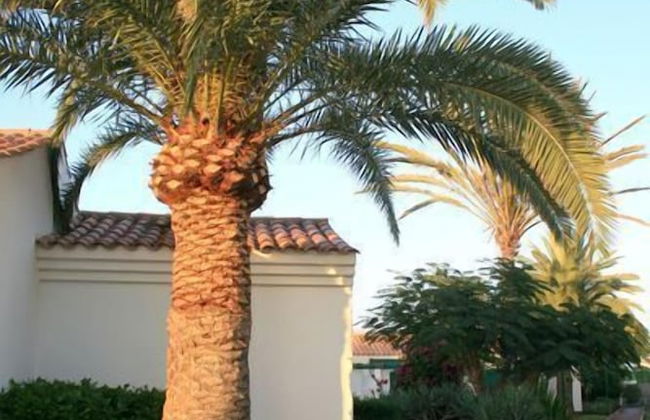 Campo Golf Bungalows - Photo 50