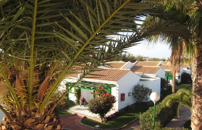 Campo Golf Bungalows - Photo 48