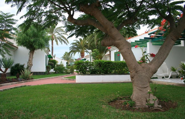 Campo Golf Bungalows - Photo 49