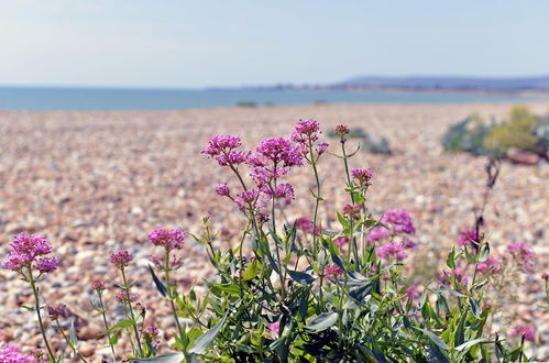 Foto 13 - Pevensey Beach Retreat