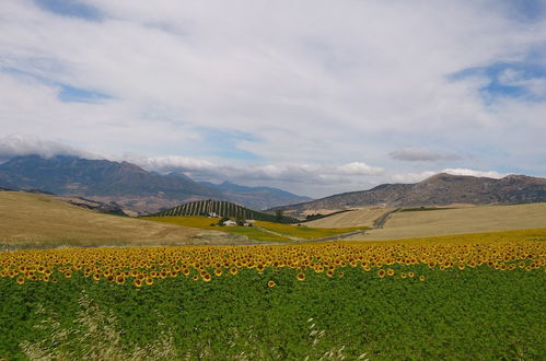 Photo 14 - La Escuela del Campo