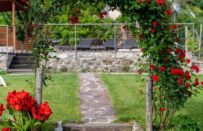 La Vignana - Cinque Terre - Foto 51