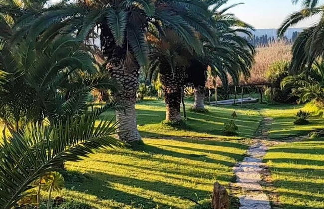 Agriturismo Baglio Vecchio - Foto 47