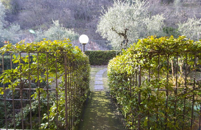 Residence Cecina - Photo 17