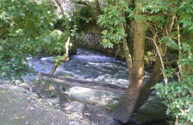 Corrada Torales - Photo 26