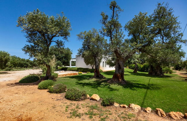 Villa Zena - Photo 35