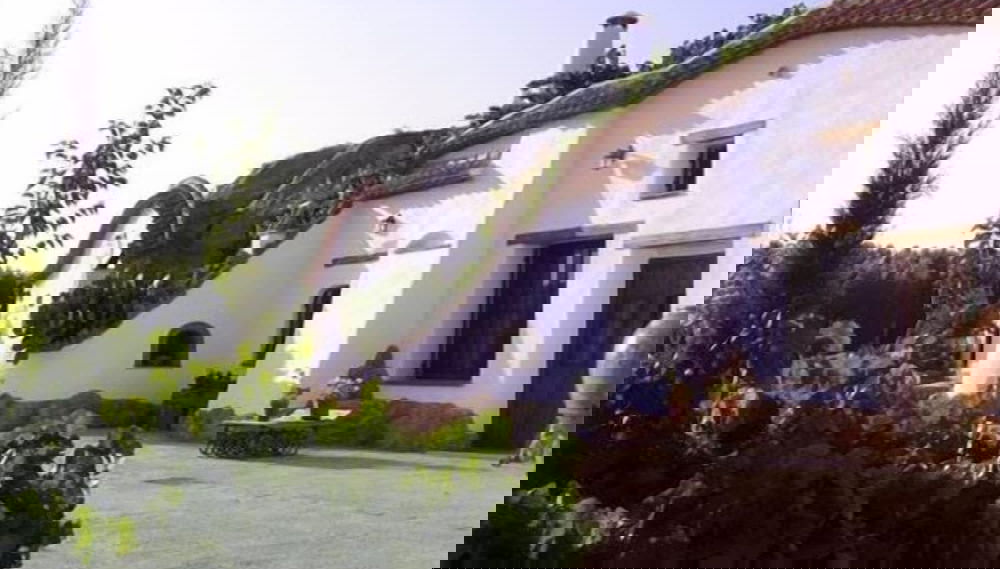 Imagem principal