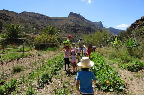 Photo 51 - EcoTara Canary Islands