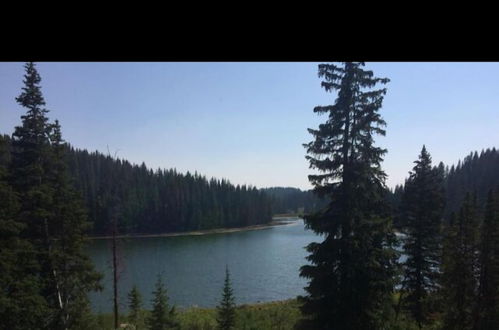 Photo 63 - Alexander lake lodge