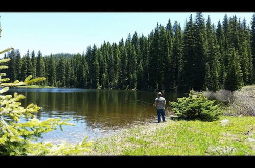 Photo 67 - Alexander lake lodge