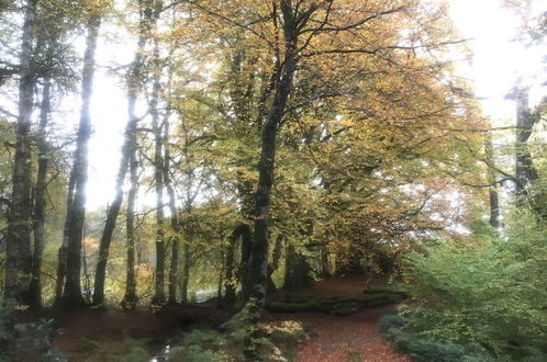 Photo 17 - Cosy Woodland off Grid Shepherds Hut - Rowan