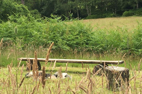 Photo 14 - Cosy Woodland off Grid Shepherds Hut - Rowan