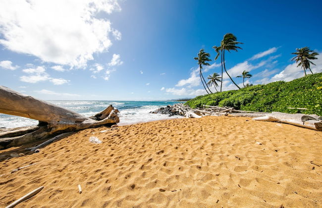 Kauai Hale Awapuhi By Coldwell Banker Island Vacations - Foto 50