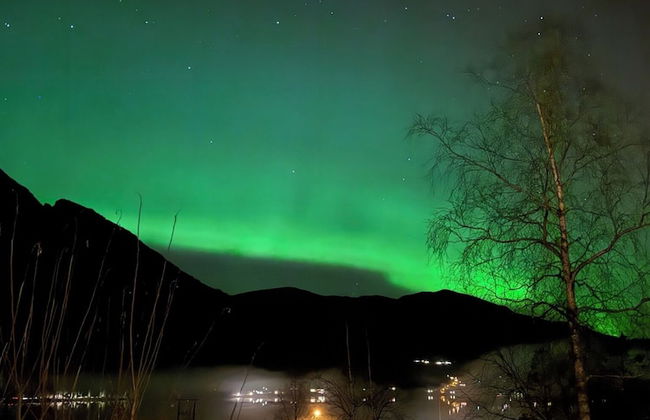 Jølster Lake View - Foto 44