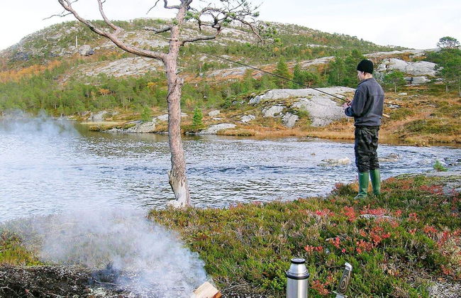 4 Person Holiday Home in Stonglandseidet-by Traum - Foto 19