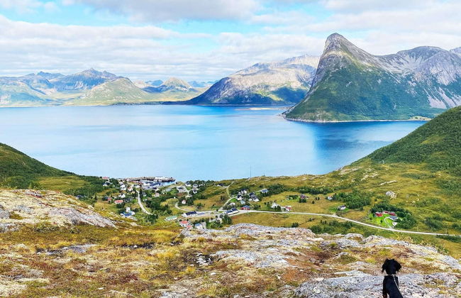 4 Person Holiday Home in Stonglandseidet-by Traum - Foto 26