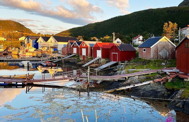 4 Person Holiday Home in Stonglandseidet-by Traum - Foto 14