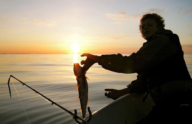 4 Person Holiday Home in Stonglandseidet-by Traum - Foto 10