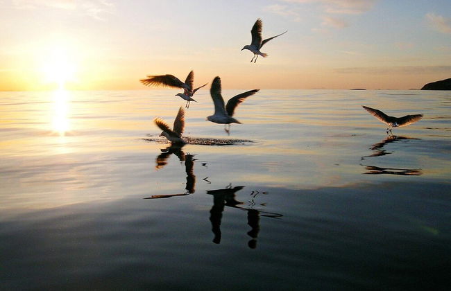 4 Person Holiday Home in Stonglandseidet-by Traum - Foto 15