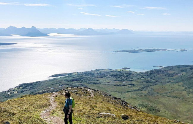 4 Person Holiday Home in Stonglandseidet-by Traum - Foto 12