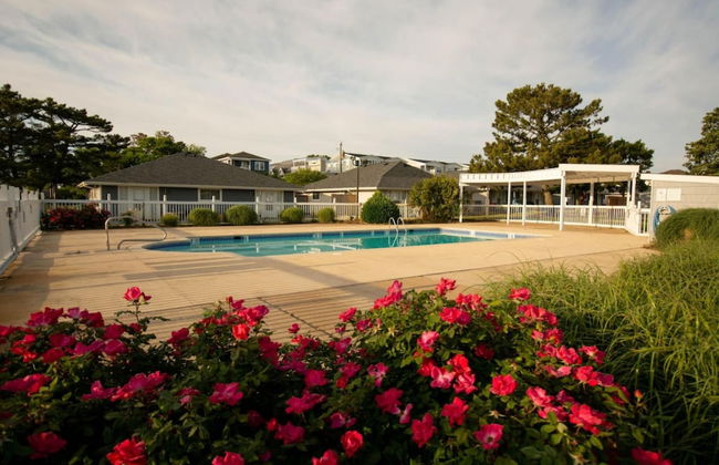 Beautiful Sea Gem - Condo 1 4 mi From Beach w Pool - Foto 17