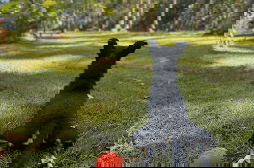 Foto 18 - Villa Turquesa