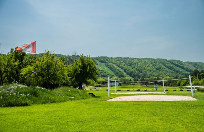 4 bedroom Blue Mountain Cottage with Private Beach Access, BBQ, Petfriendly - Foto 14