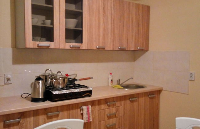 Best two room Apartments on Belayeva 5 - Photo 7