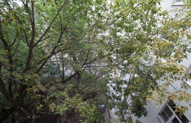 TVST Apartments Kamergerskiy Pereulok - Foto 19