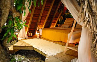 Photo 2 - Aqua Zen Spa Lodge Tiki Hut