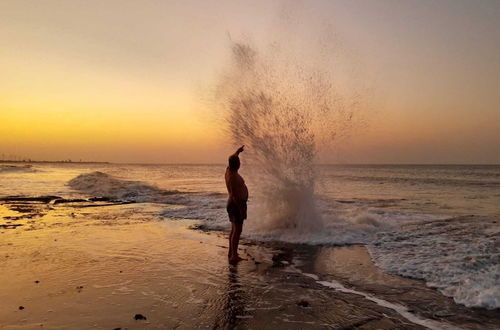 Photo 44 - Joais do Nordeste