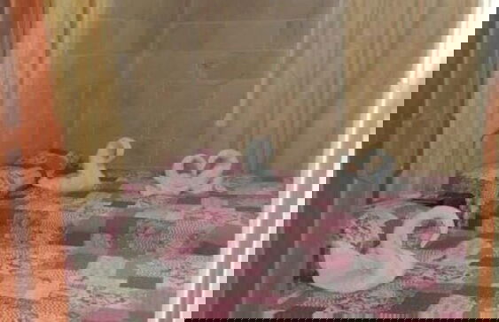 Apartment in Cárdenas with garden and terrace - Foto 15