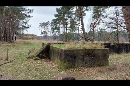 Photo 19 - Holiday Home for Cyclists/walkers in Achterhoek