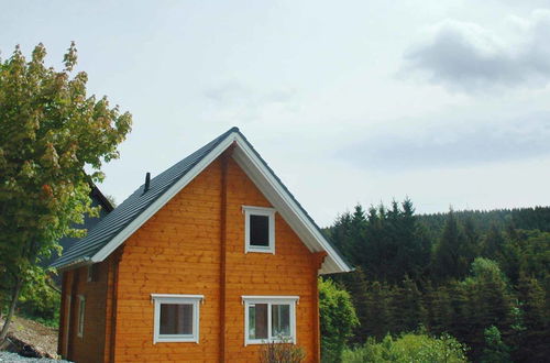 Photo 22 - Wooden House With Sauna in Kustelberg