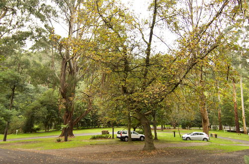 Photo 40 - Tarra Valley Retreat