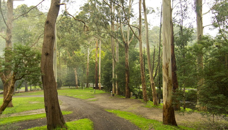 Photo 1 - Tarra Valley Retreat