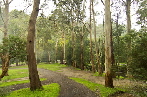 Photo 1 - Tarra Valley Retreat