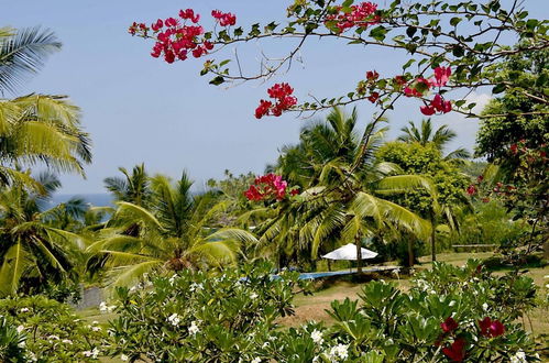 Photo 2 - Elevated Family Beach House With Ocean Views